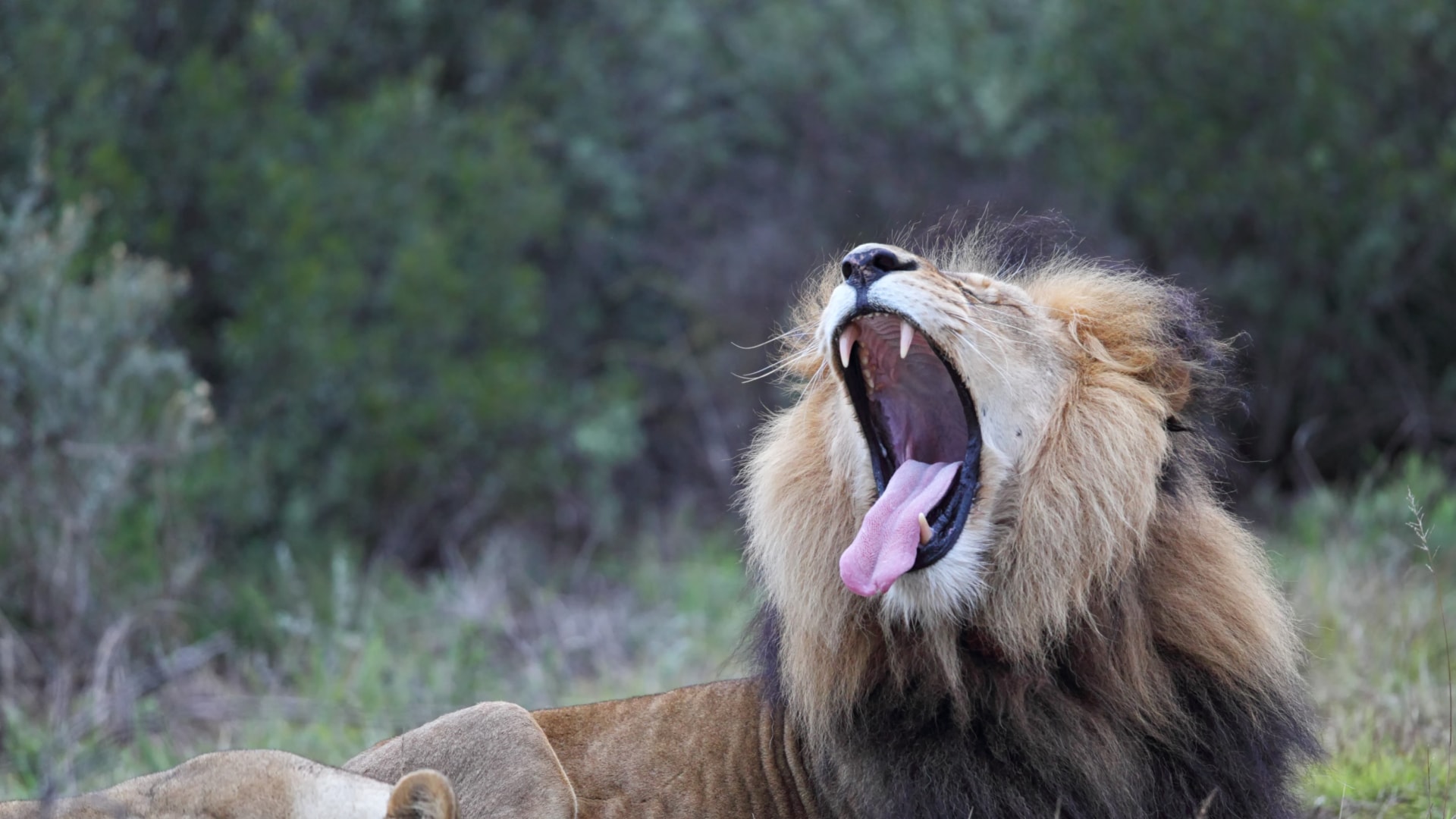 Roadtrip entlang der Garden Route